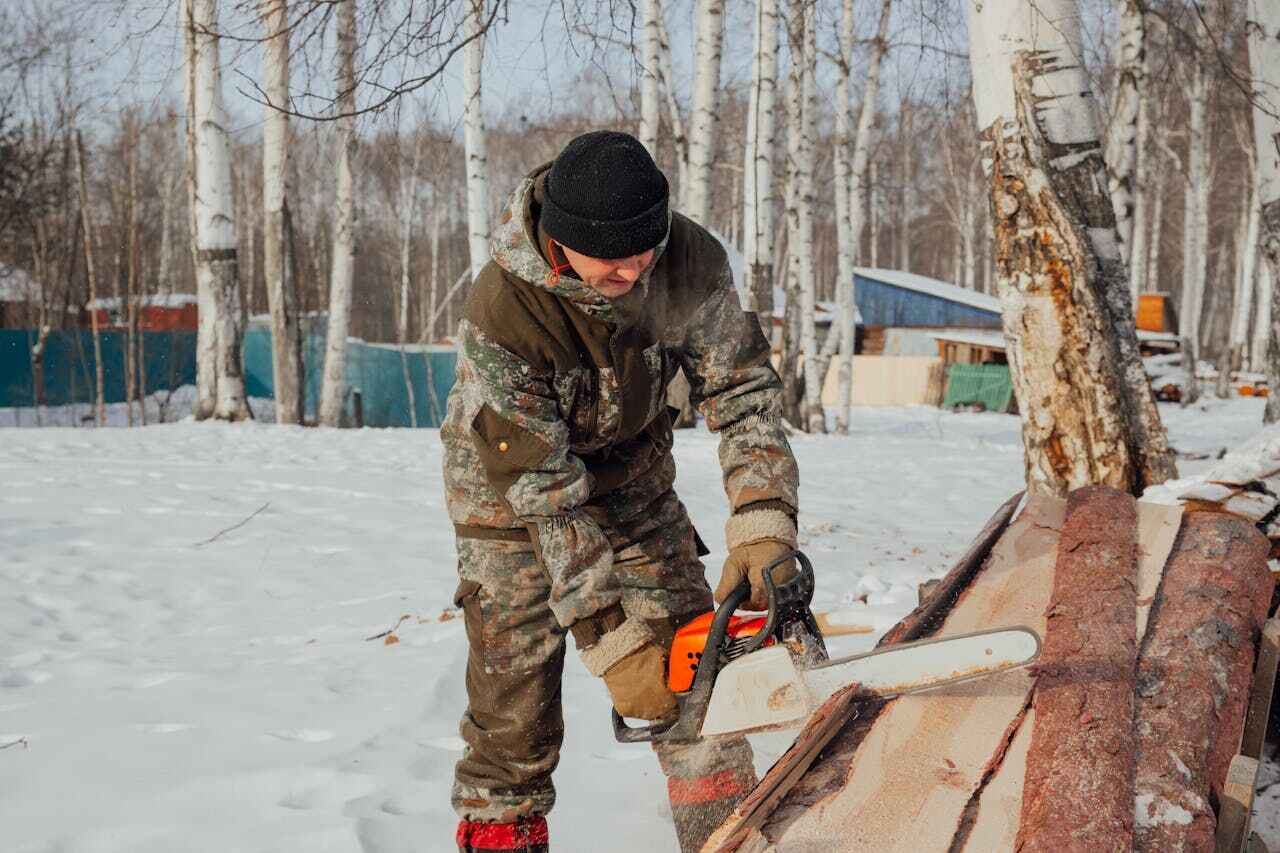 Trusted Boardman, OR Tree Service Experts